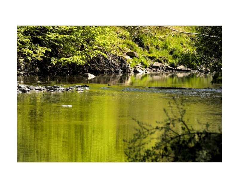 By the Creek in Morningside Park- 03